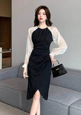 Sheer Long Sleeves Pleated Asymmetrical Hem Dress